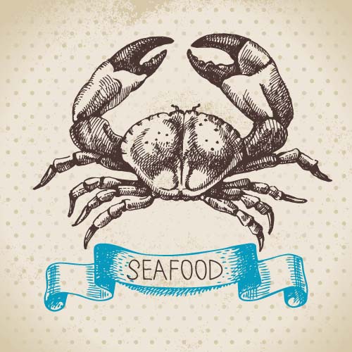 Hand drawn seafood with ribbon vectors 05 Hand drawn seafood with ribbon vectors 05