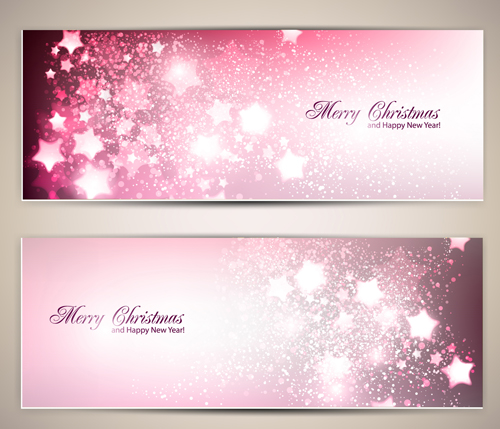 Ornate stars with holiday banners vector 01
