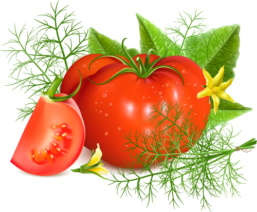 tomatoes tomato Ripe design 