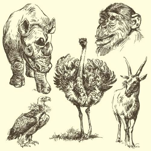 Wild animals hand drawing vectors set 12