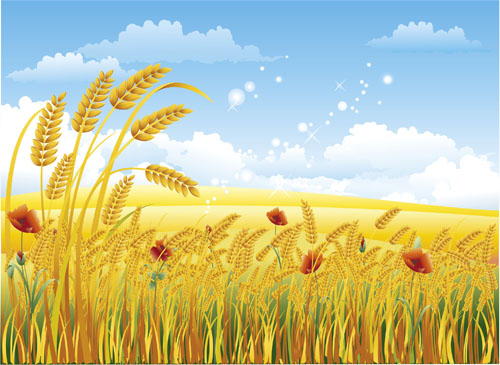 Fall elements vector 01
