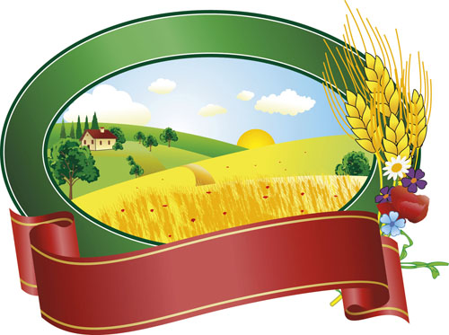 Fall elements vector 02