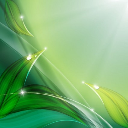 Green leaves with water drop eco background 04 Green leaves with water drop eco background 04