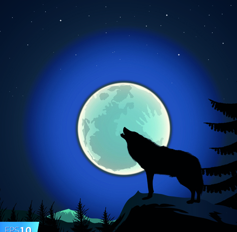 Night the moon elements vector 04