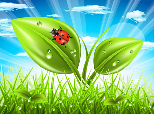 Vibrant spring elements vector background art 01