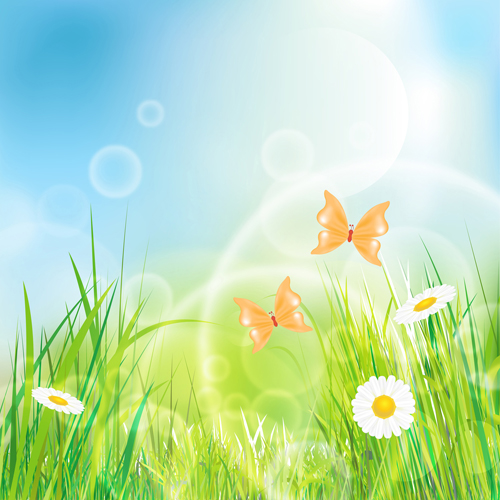 Summer Grass vector background 03