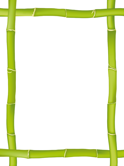 frame different bamboo 