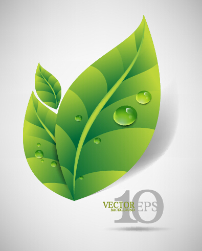 Bright green leaves backgrounds vector graphics 04