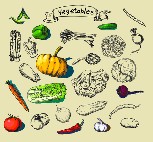 vegetables vegetable vector material material hand drawn creative 