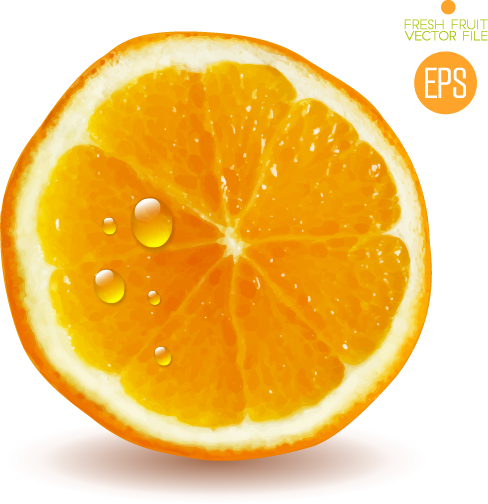Juicy slice oranges vector set 05