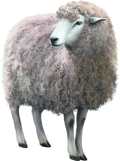 sheep realistic material 