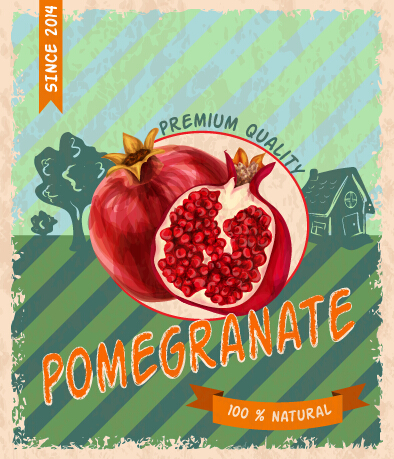 Retro font poster pomegranate grunge 
