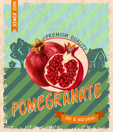 Retro grunge pomegranate poster vector