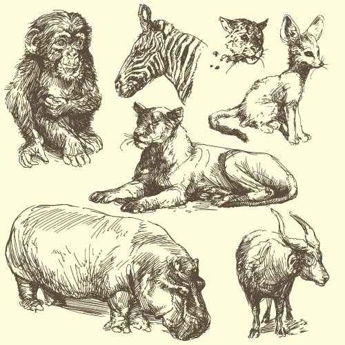 wild Hand drawing animals animal 