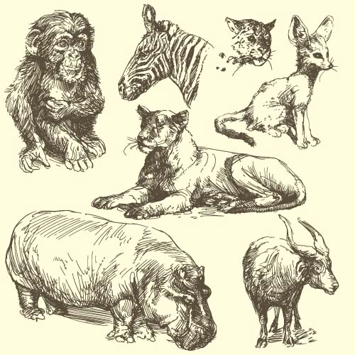 Wild animals hand drawing vectors set 03