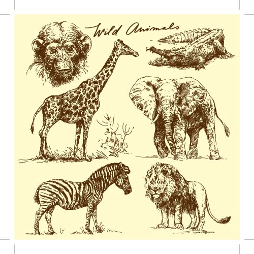 Wild animals hand drawing vectors set 05