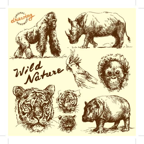 wild Hand drawing animals 