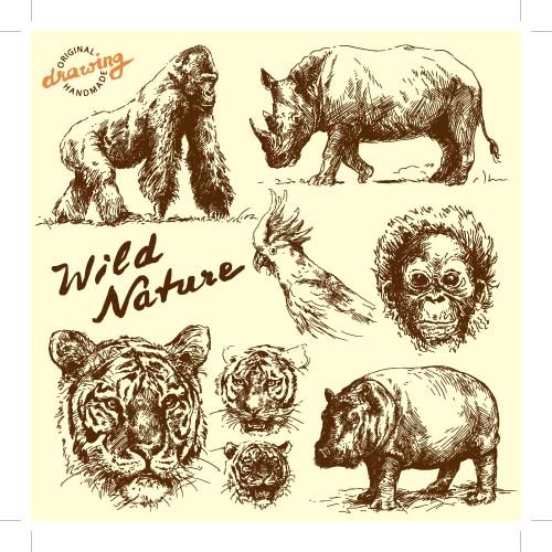 Wild animals hand drawing vectors set 06