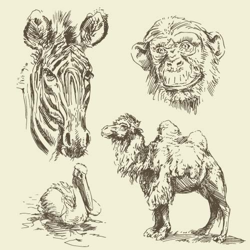 Wild animals hand drawing vectors set 07