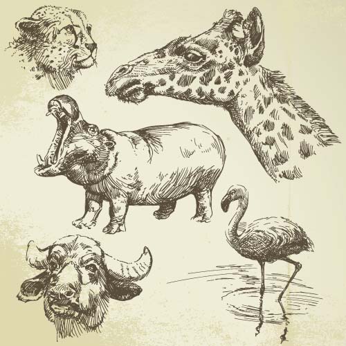 Wild animals hand drawing vectors set 09