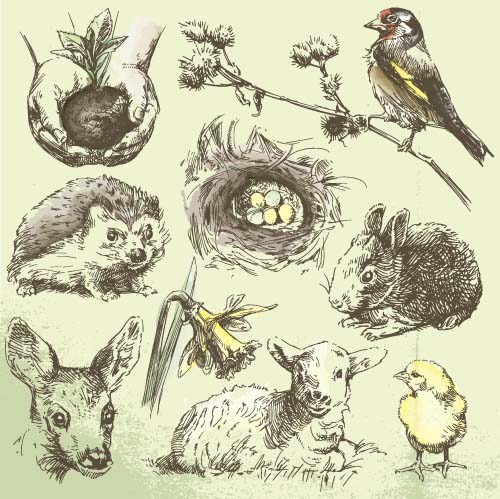 Wild animals hand drawing vectors set 10