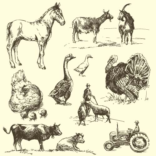 Wild animals hand drawing vectors set 11