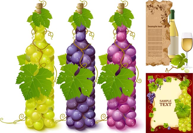 wine grape wine 