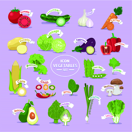 Fresh Vegetables creative icons vector