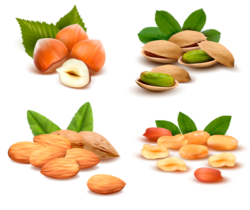 Fresh nuts shiny vector material 01