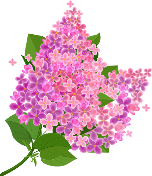 ith pink flower background vector 01 Gree leaf with pink flower background vector 01