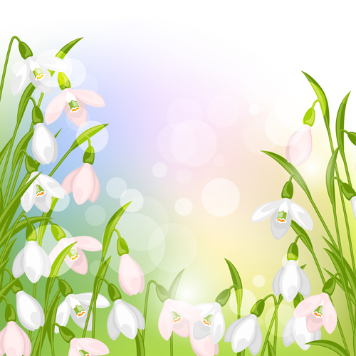 snowdrops lantern flowers background vector background 