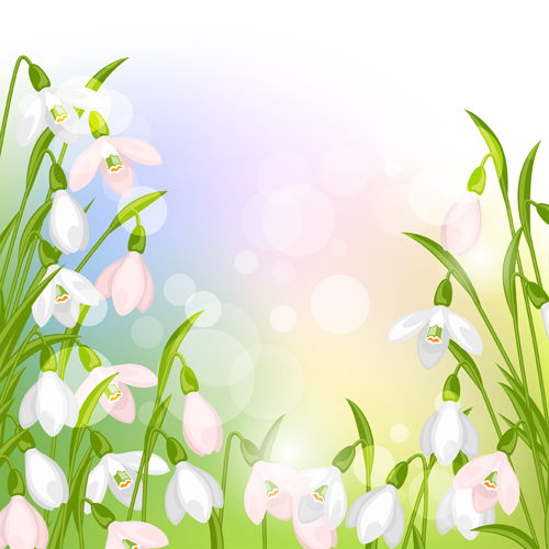 snowdrops flowers with shiny background vector