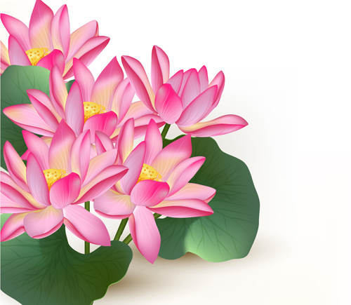 pink lotus elements Design Elements 