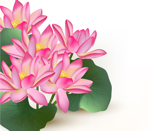 Pink lotus design elements vector