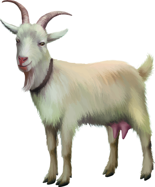 realistic goat 