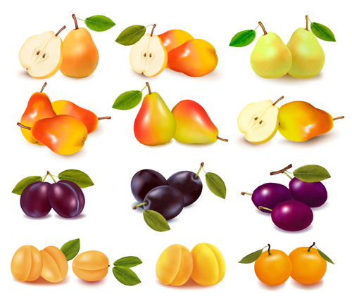 shiny fruits background 