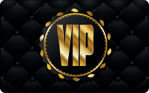 Set of Senior VIP cards design vector 04