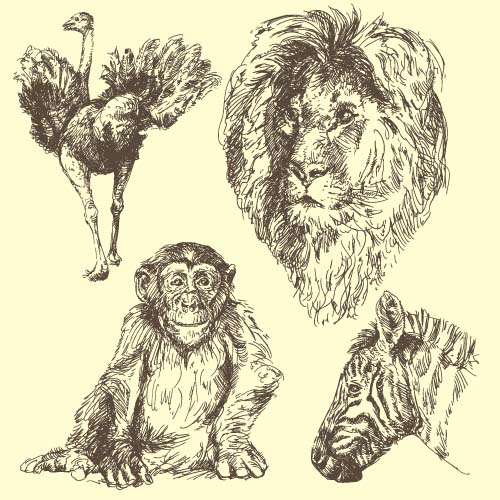 Wild animals hand drawing vectors set 02