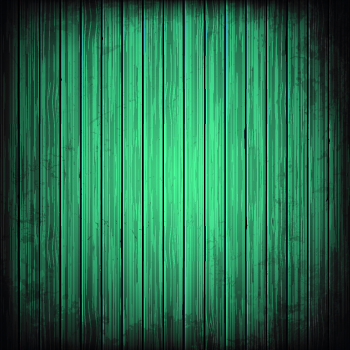 Realistic Wooden background vector 04