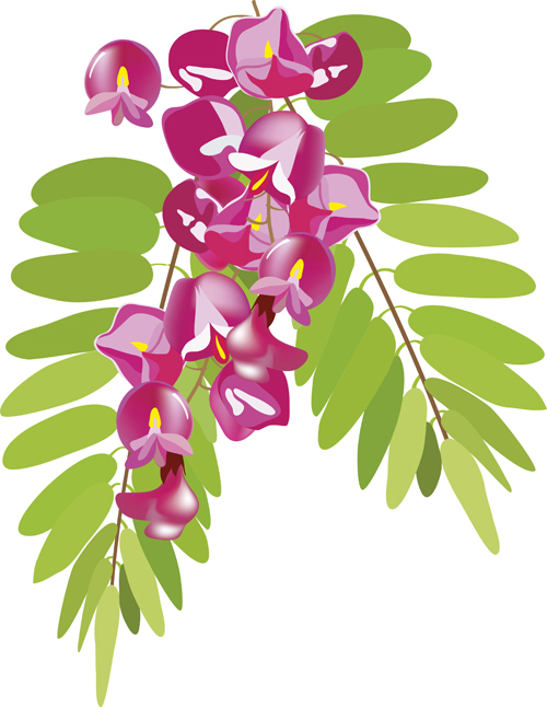 Different leaves design elements vector 05