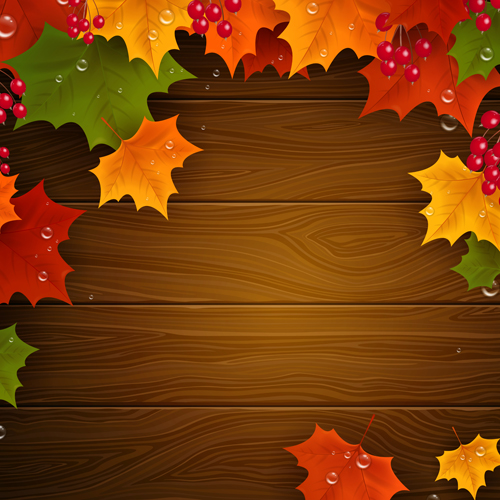 Autumn Harvest backgrounds vector 05