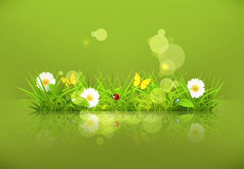 spring green grass 