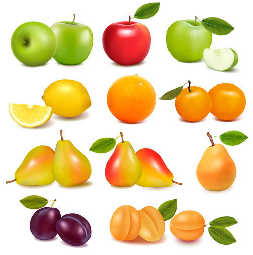 Fresh fruits realistic vector material 01