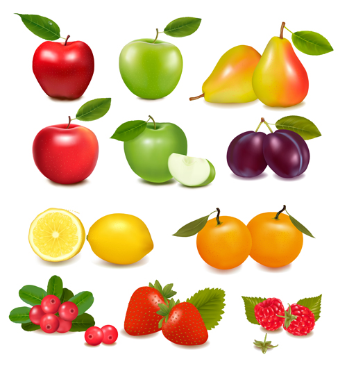 Fresh fruits realistic vector material 02