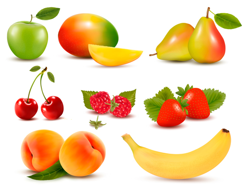 Fresh fruits realistic vector material 05