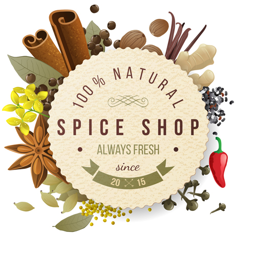 Round paper with spice background vector