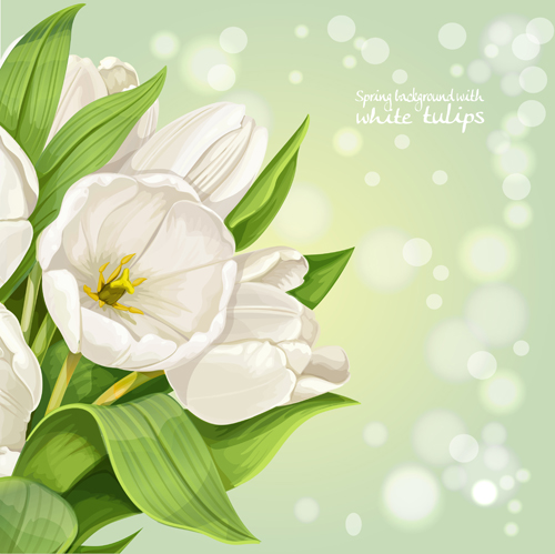 vector background tulips spring shiny background 