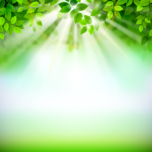 Sunlight with green leaves shiny background vector 03