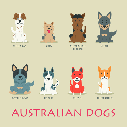 material icons dogs Australian 