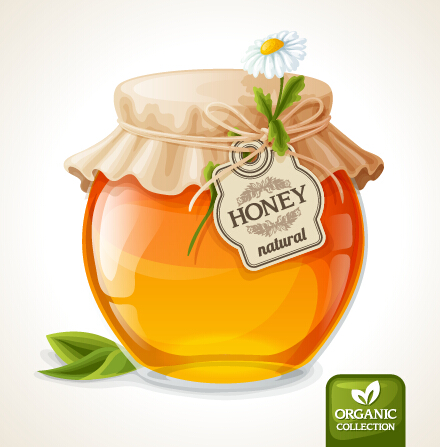 m with jar design vector material 02 jam with jar design vector material 02